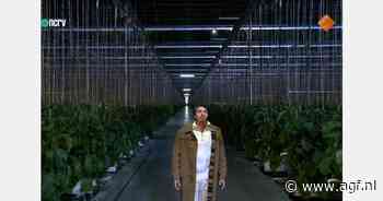 Spectaculaire beelden uit auberginekas tijdens The Passion