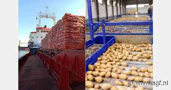 "Export Egyptische aardappelen aangetrokken"