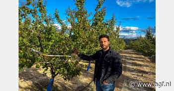 "Trage start Spaans steenfruitseizoen gunstig voor maatvoering en kwaliteit"