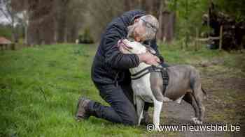 Blue (9) kan opnieuw stappen aan de zijde van baasje Stoffel (55) dankzij crowdfunding: “Zo dankbaar”