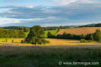 Farmland values rise in early 2025 despite industry pressures