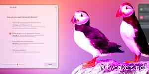 Ubuntu 25.04 Plucky Puffin - Nu nog makkelijker te dualbooten