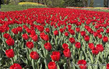 Morning Notes for April 18, 2025