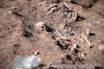 More Than 300 Skeletons Uncovered From Medieval and Post-Medieval Eras in UK