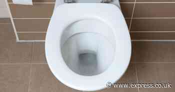 Remove 5 years of toilet limescale stains in 5 minutes with 1 ‘game-changing’ natural item