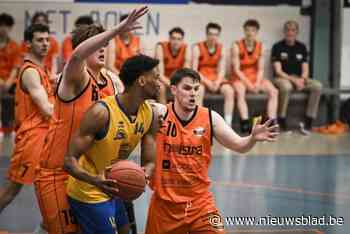 Panters Baasrode haalt eerste versterking bij BC Asse-Ternat