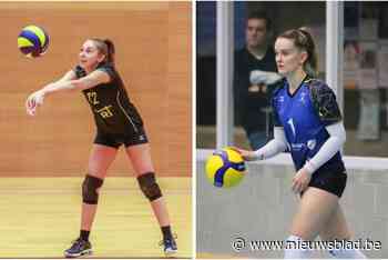 Real Wetteren gaat op zoek naar dubbel in Trofee Moorthamer tegen topfavoriet Vamos Stekene Sint-Gillis-Waas: “Onze trainer heeft ons minutieus klaargestoomd”