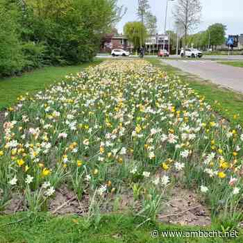 Klein Keukenhof in Ambacht