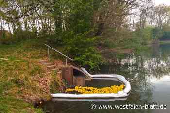 Gelbe Würfel: Was schwimmt da am Ufer der Else in Kirchlengern?