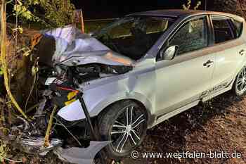 Vollbesetzter Pkw prallt gegen Baum