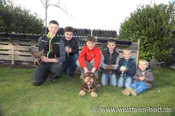 Aufwachsen mit Gebell, Gurren und Gegacker