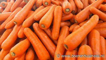 Peenprijs zet stapje omhoog na opruiming