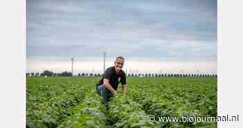 Green Organics viert 25 jaar en lanceert vernieuwde website