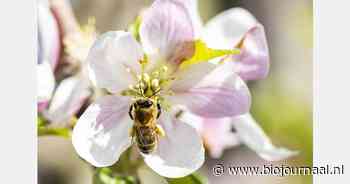 "Biologisch eten draagt bij – aan mens, dier en planeet"