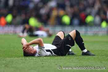 How the relegation picture now looks for Cardiff City after Derby defeat as nightmare scenario avoided