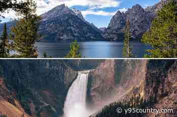 Visitor Trends Reveal Yellowstone’s Rising Popularity