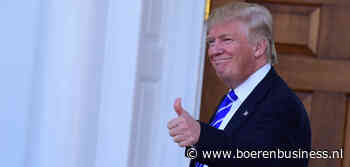 Strapatsen van Trump maken markten onzeker