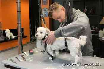 Geadopteerde honden krijgen van Bart een gratis trimbeurt: “Een mooie nieuwe start”