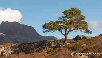 Essential Photography Lessons to Learn Early