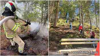 Waldfläche am Hechtsee in Flammen – Spaziergänger halten Brand auf kuriose Weise in Schach