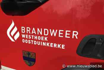 Brandweer kan duinenbrand snel bedwingen