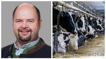 Nach Tier-Dramen in der Region: Kein Geschrei? Kein Gestank? Können Rinder unbemerkt sterben?