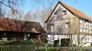 Braunschweigs schönster Arbeitsplatz? Klaus Lübbe könnte ihn haben