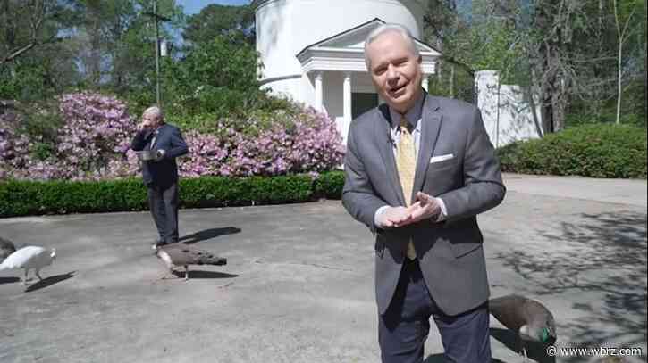 Celebrating Easter in St. Francisville with blooming Azaleas at Hemingbough's Sunrise Service