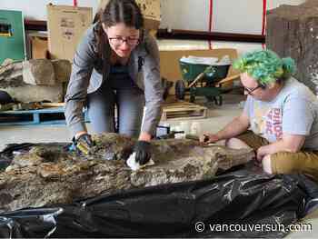B.C. researchers confirm footprints of three-toed dinosaur with club-like tail
