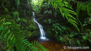 How to Compose Unique Waterfall Photos