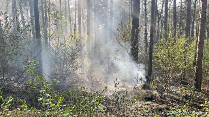 Brand midden in het bos is moeilijk te blussen: 'Dat wordt een latertje'