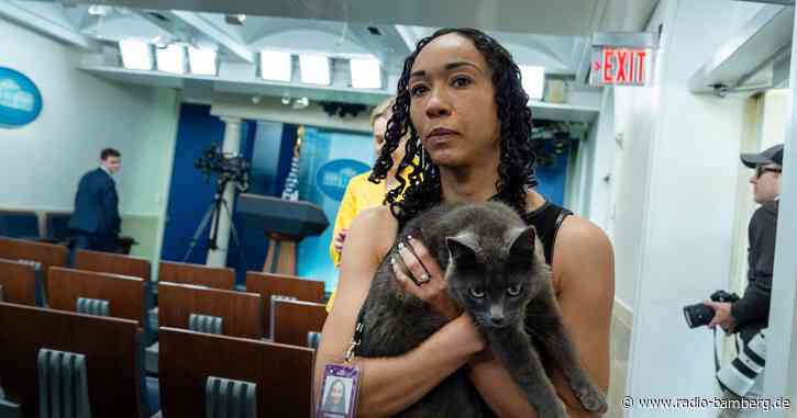 Katze auf Abwegen sorgt für Aufsehen im Weißen Haus