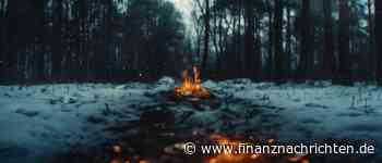 Krypto News: Märkte in Aufregung - steht uns der Kryptowinter bevor?