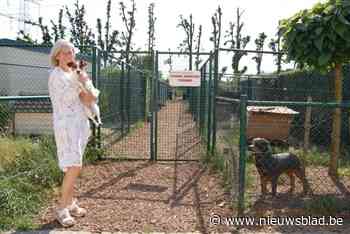 Weldoener laat klein fortuin na aan dierenasiel, maar dat ziet bedrag volledig verdwijnen door belastingen: “Een klucht, een tragedie, een schande”