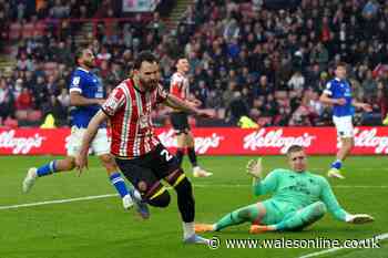 Sheffield United 2-0 Cardiff City: Bluebirds still deep in relegation mire as Blades ease to deserved win