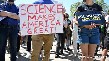 Nearly 300 scientists apply for French academic program amid Trump cuts in U.S.