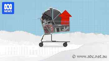 A supermarket catalogue from 2021 tells us plenty about this election