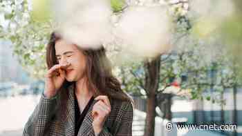 How to Get Ahead of Allergy Season, According to an Allergist