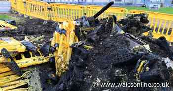 Olivia Pratt-Korbel memorial destroyed in fire started by children