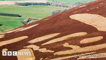 Wildfire warning over new controlled burning rules