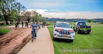 Wandelaars aangevallen door koe op heide bij Ede, afgevoerd naar ziekenhuis