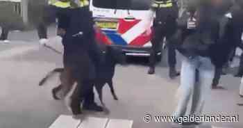 KIJK | Politie slaat jongeren met wapenstokken bij examenstunt