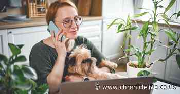 HMRC issues alert as half-a-million people in line for £1,200 bonus payment