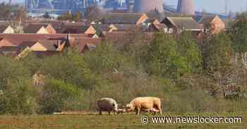 Sinds de nationalisatie weten de werknemers van British Steel nog altijd niet of hun banen veilig zijn