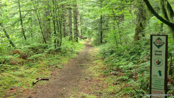 River Valley Trail to receive trims, signage after B.C. grant program