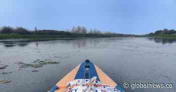 Fecal bacteria water quality advisory issued for Sturgeon River in St. Albert