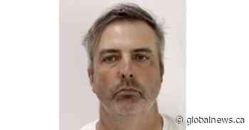 The New Pornographers band drummer charged with child porn possession