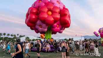 The Coachella Experience Has Declined. An Identity Crisis?