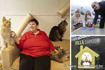 Op bezoek in Villa Samson, de erfenis die Danny Verbiest nalaat: “Als ik hier buiten wandel, voel ik me lichter”