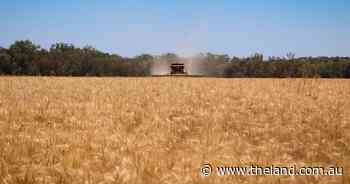 Pakistan likely to increase wheat imports after unseasonably dry conditions